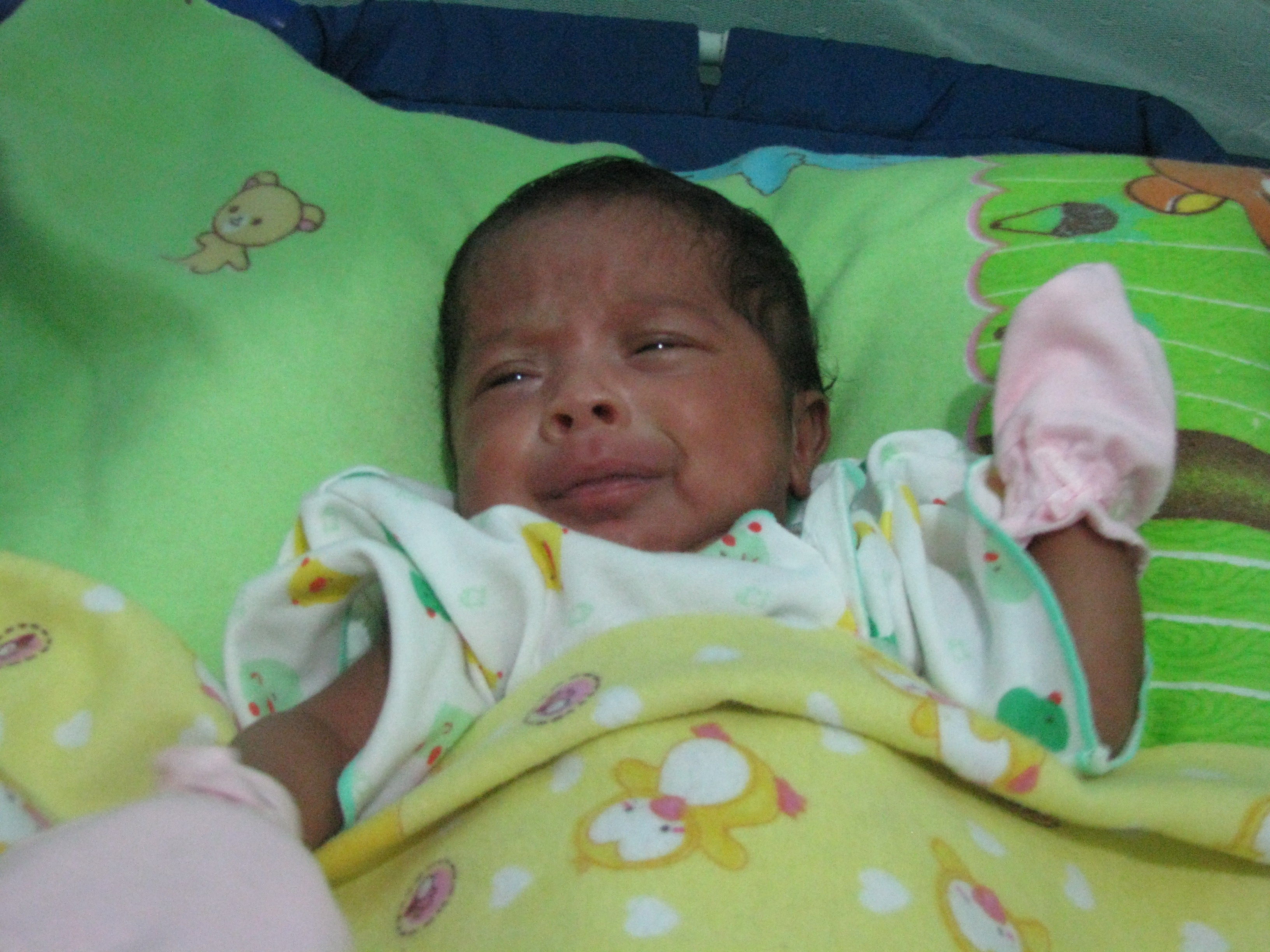 Bayi Eva tertolong setelah dipinjamkan inkubator Berat 2 4 kg Iklan